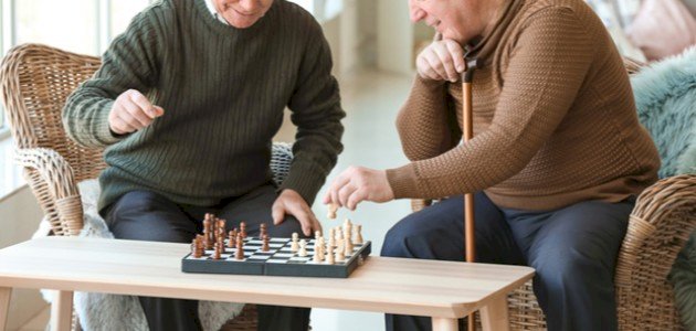 بازی های تفکر بزرگسالان - موضوع