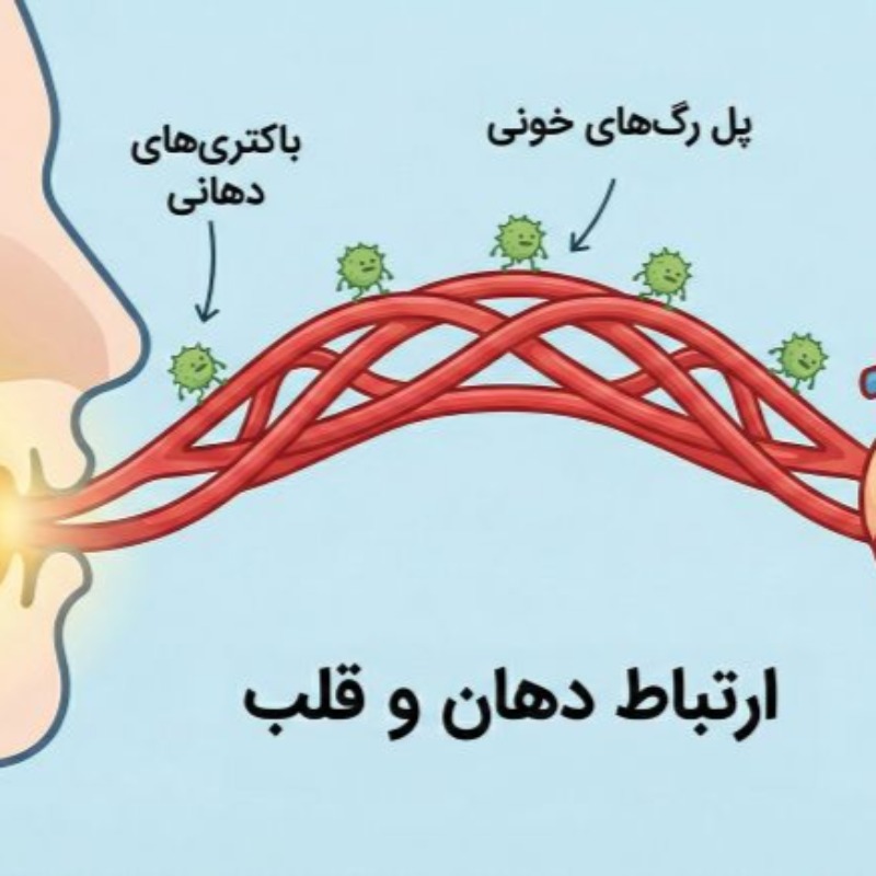 رابطه سلامت دندان و قلب