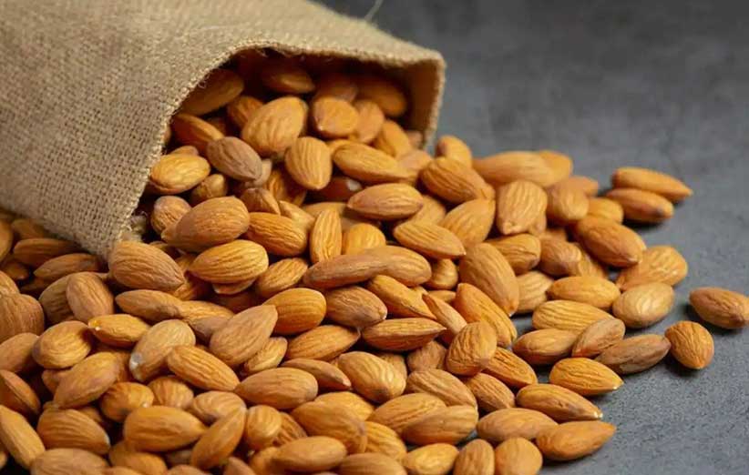 پیشگیری از بیماریها با تغذیه سالم؛ نقش آجیل و خشکبار در سلامتی