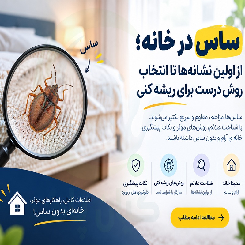 ساس در خانه؛ از اولین نشانهها تا انتخاب روش درست برای ریشه کنی