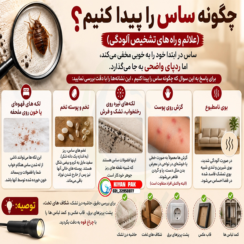 چگونه ساس را پیدا کنیم؟ (علائم و راه های تشخیص آلودگی)